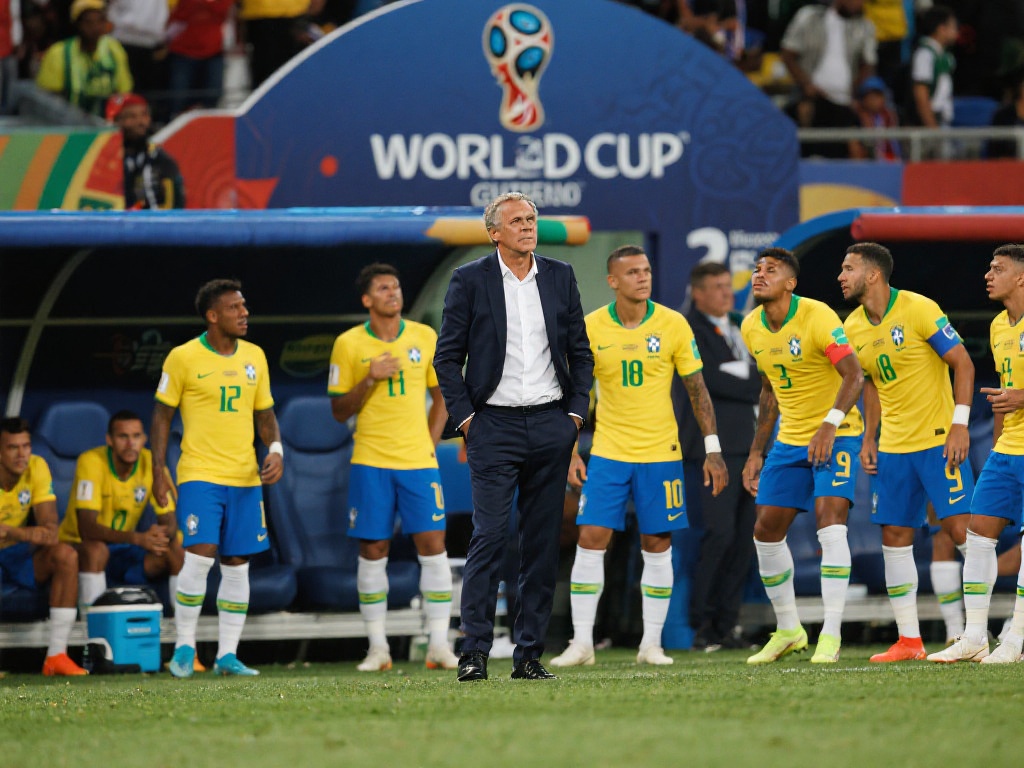 提供了科学 提供了科学